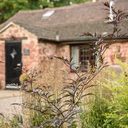 We are an award winning self catering family business dedicated to providing the best holiday experience for you, your family & pets.