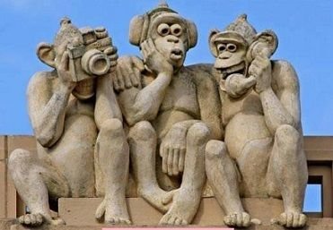 sn_tweet's profile picture. 