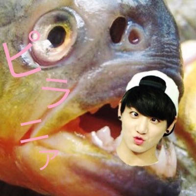 hikari_bts1025's profile picture. ▷97line▷JUNGKOOKよりall ▷韓国好きになって8年目突入~！ ⭐︎おおざっぱ族♡⇨ @michico335 ⭐️婚約者♡⇨ @hazu_sonearmy