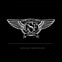 GalleryOfSteelFigure (@galleryofsteelf) 's Twitter Profile