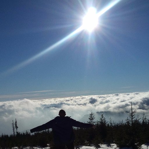 JohnnieSurdi's profile picture. Socios nr 1459 ;)