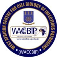 Initiative for training and building partnerships for biomedical research in Africa.