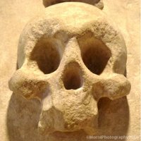 Morte Photography, Archaeology & Death Research 💀 (@mortephoto) 's Twitter Profile