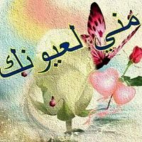 عيون الصقر (@uenrjvdw6stwlzr) 's Twitter Profile