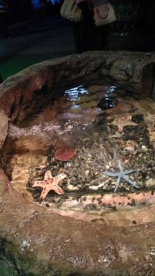 dirugly00's profile picture. 