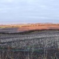 Wesham Action Group (@weshamactiongrp) 's Twitter Profile
