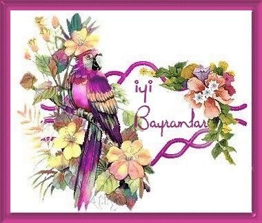 mehmetdiyarbek's profile picture. 