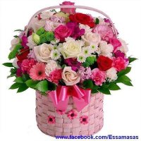 ماثلة الساعاتي (@macila_saati) 's Twitter Profile