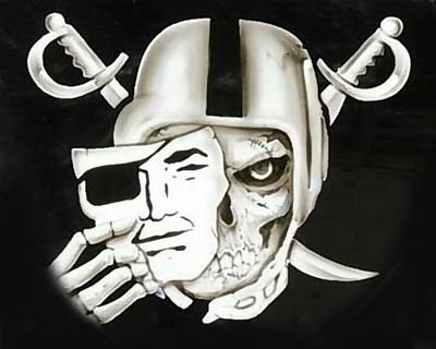 Automotive Painter Raiders fan