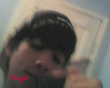 followpingo's profile picture. 