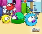 hi i have a clubpenguin account and i really think puffles are a waste! whos with me!?!