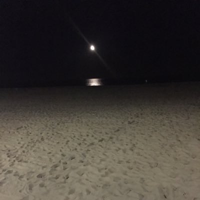 thinkchillvibes's profile picture. 