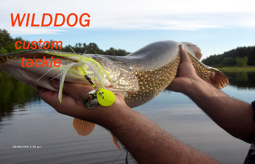 We are a small company located in the beautiful state of Maine who makes custom inline spinner baits for the serious fishermen.