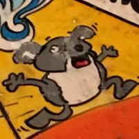 Alex Rozier (@alxrzr) 's Twitter Profile Photo Alex Rozier (@alxrzr) 's Twitter Profile Photo