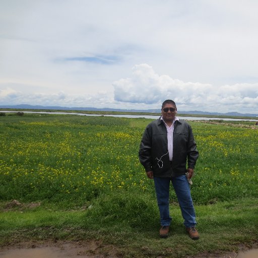 lexminaya's profile picture. APPSYS CONSULTING