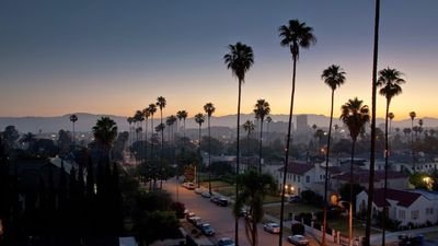 nobleclay7's profile picture. Skater