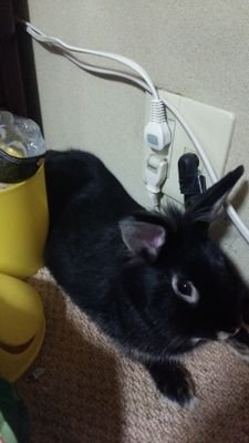 nagi_s_f's profile picture. 