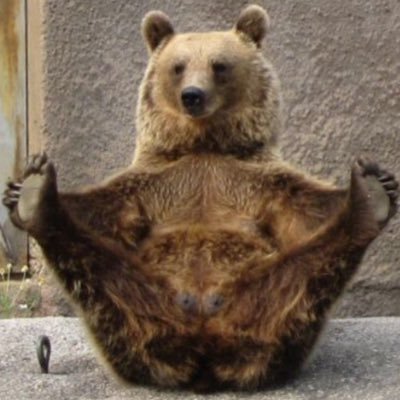 SC1_Paul's profile picture. Opinionated. Mostly right. Love hockey the best.