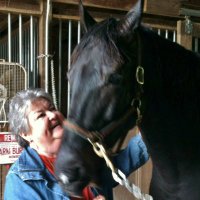 Janet Wiley - @Derby1947 Twitter Profile Photo