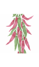 Debbie Spencer - @ddsquare - Twitter