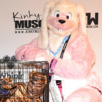 Bernie BondageBunny (@berniebbunny) 's Twitter Profile Photo Bernie BondageBunny (@berniebbunny) 's Twitter Profile Photo