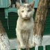 Marat Abdullin (@mararararat) Twitter profile photo Marat Abdullin (@mararararat) Twitter profile photo