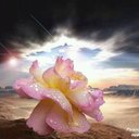 Khaled Haloum (@101khaled1011) Twitter