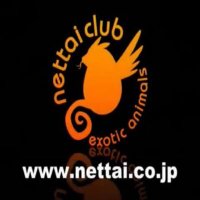 ペットショップ 熱帯倶楽部 吉祥寺店(@nettai_club) 's Twitter Profile Photo