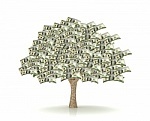 We can help you cut your medical bills and other unsecured debt by 50%-60%.  Visit http://t.co/KSPzMfbPqC for more information.