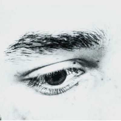 “É inútil plantar um carvalho na esperança de poder, em breve, se abrigar sob a sua sombra.”