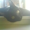 Coco Campbell - @Coco_Campbell - Twitter