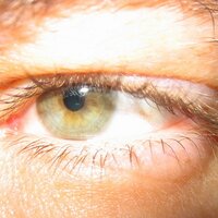 hein (@hein2) 's Twitter Profile