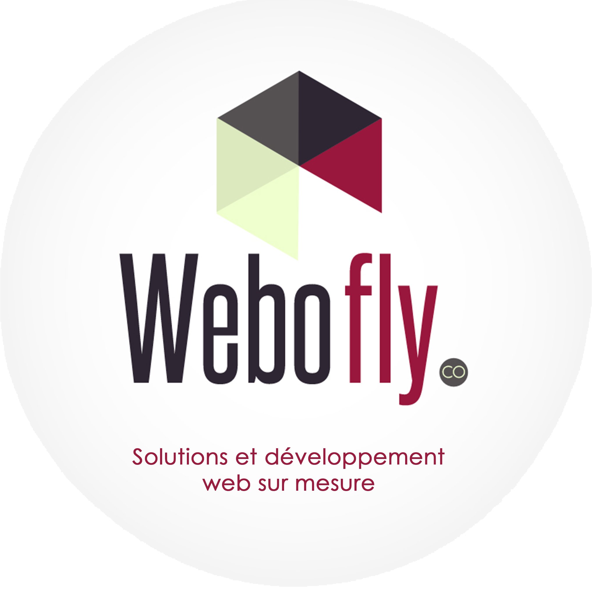 Agence web innovante, nous développons des sites internet applications mobiles, Identités visuelles etc...