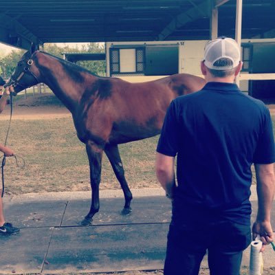 New Yorker. American. Father. Son. Husband. Brother. Favorite Uncle. thoroughbred dad. Founder and Managing Partner of #bluelionthoroughbreds @bluelionracing