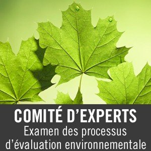 Compte officiel du Comité d'experts pour l'examen des processus d'évaluation environnementale 
Avis : https://t.co/XsqyAG4ujz  
English: @EA_review
