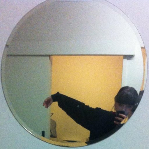 tinyweirddog's profile picture. a sheeple