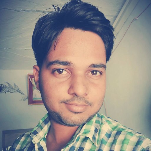 Seo | blogging | web developing | web designing