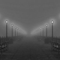 هدوء في زمن الضجيج (@r5_roz) 's Twitter Profile Photo