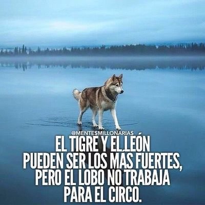 💯Ingeniero más Ingenioso,escribo con la izq,de Derecha por convicción,MachoXY Patriota con Sentido Común,sigo a quienes me siguen,me gustan las mujeres,únicas