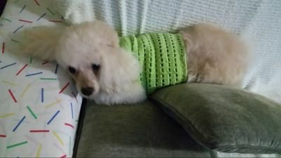 UmbertoFelipe's profile picture. 