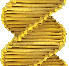 My interests as a GrainGenomes curator are information related to Triticeae (wheat, barley, rye, and related) and Avena (oat) species including other grains.
