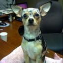 Debra McNulty - @dlmcnulty - Twitter