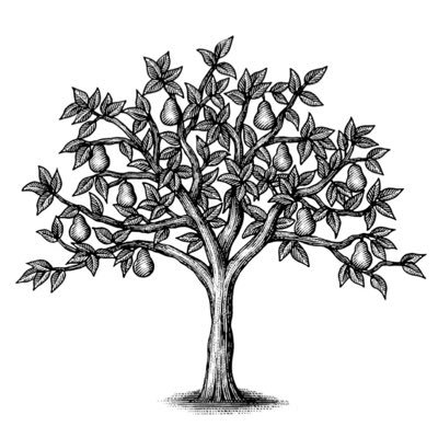 Peartree_kit's profile picture. Australian inspired restaurant & deli in SE London. For Bookings Click Link Below ⬇️⬇️