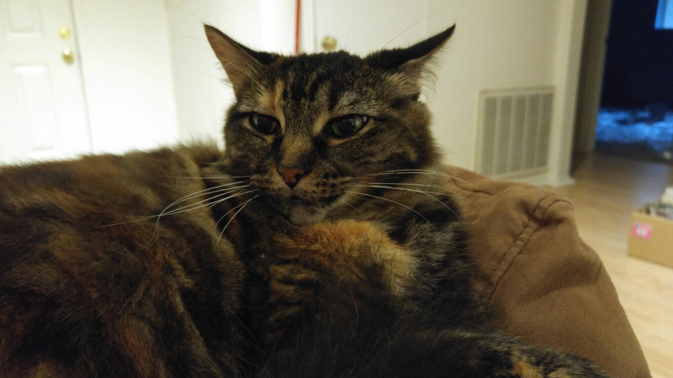 mrsdivin's profile picture. Mathematician. Teacher. Geek/Nerd.