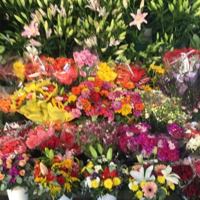 IrishPharmGirl's profile picture. Dedicated to medical research and equal opportunities for all patients.