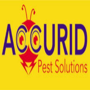 Accurid Pest Solutions Inc. is a full service pest control & exterminating company servicing Virginia Beach & the Hampton Roads area! Call for a Free Estimate!