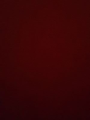 biader880's profile picture. 