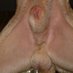sheaths and knots (@sheathsandknots) Twitter profile photo sheaths and knots (@sheathsandknots) Twitter profile photo