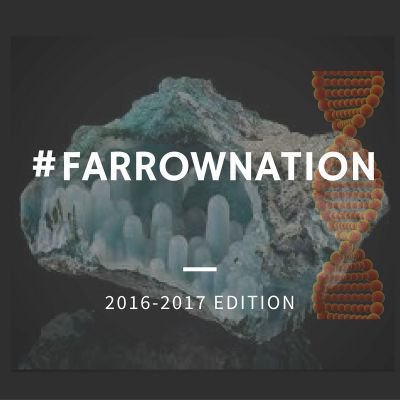 8BCMSScience's profile picture. 8th Grade Science Teacher