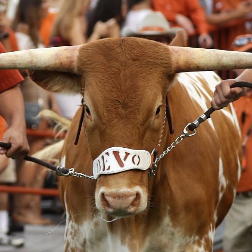 Music lover.  Texas Longhorns, Houston Texans and Texas Rangers fan. Lover of Banana Bread. Fan of shenanigans, silliness, and good times.